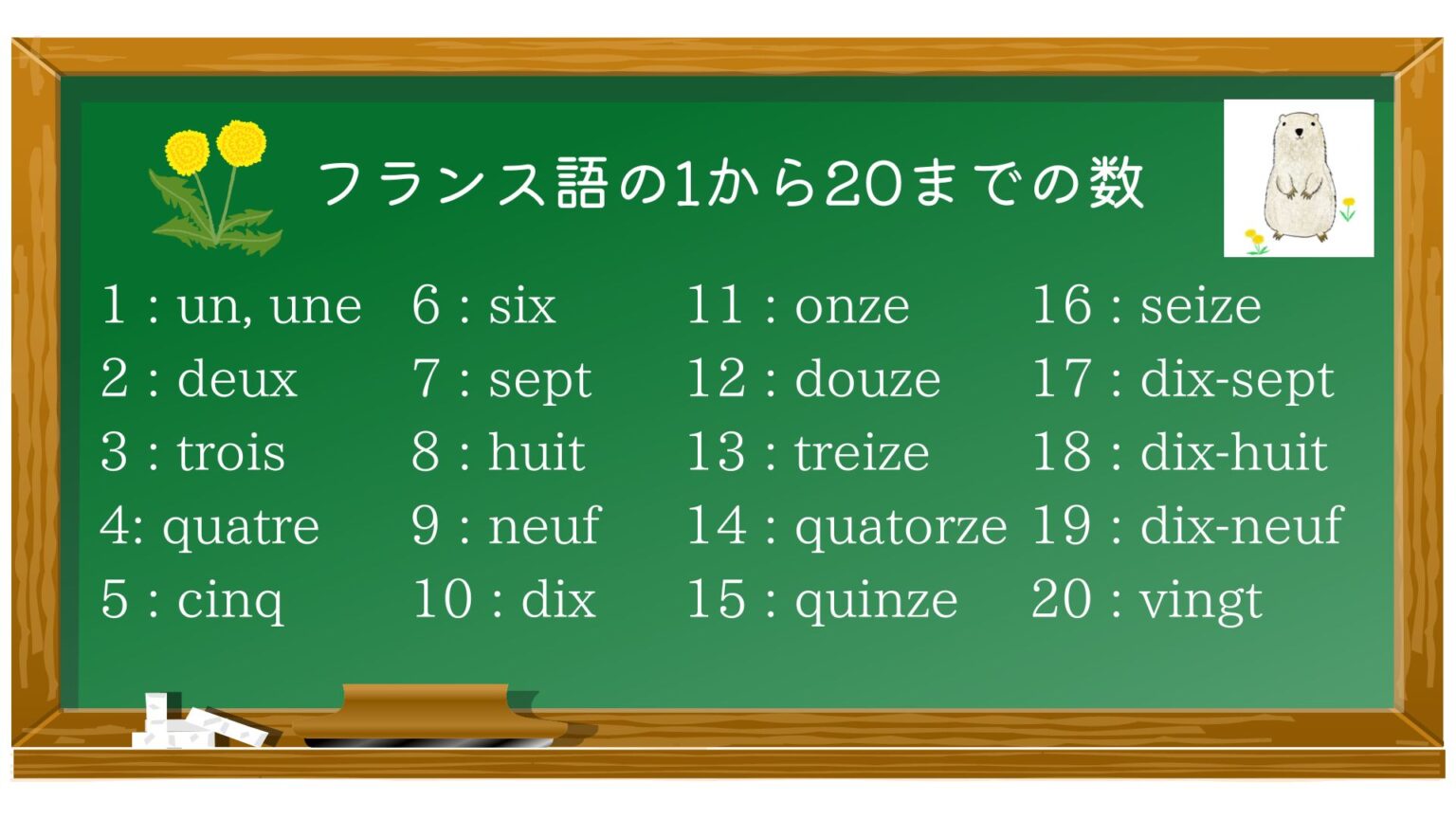 フランス語の所有形容詞 Source of Curiosity
